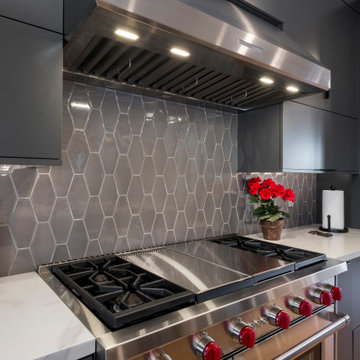 Modern Luxury in Tremont-Whole Home Renovation
