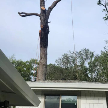 Greenview Tree Care