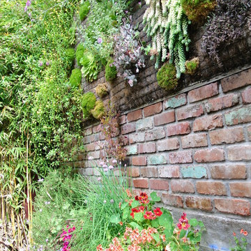 San Francisco Living Walls