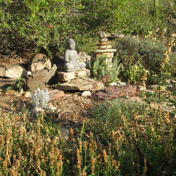 Edible Forest Garden