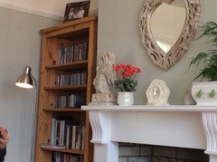 Should I Paint My Pine Bookcases
