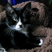 Sandy Chenoweth's photo