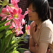 Foto von Shumin Chu