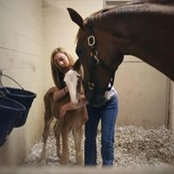 Megan McConkey's photo