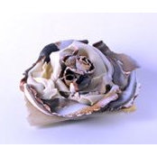 Nancy Richards-Davis's photo