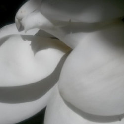 Magnolias - Home Decor