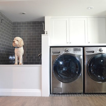Willowdale Renovation