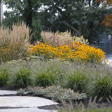 Woodland Garden