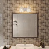 ExBrite Modern Silver Bathroom Vanity Light, 2 Lights