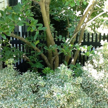 Connecticut Picket Fence