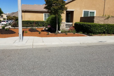 New Landscaping