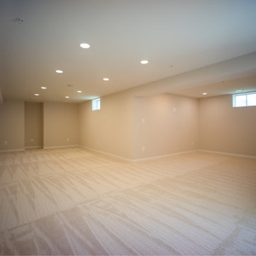 New Market Basement Finish