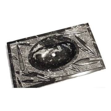 Paleo Sea Rockets Natural Fossil Stone Powder Room Sink