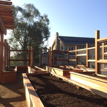 veg garden