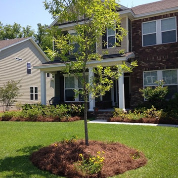 Long needle pine straw installation