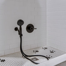 Dog Wash