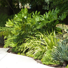 Lawton Landscaping
