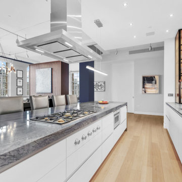 The Sky Lofts Tribeca | Centerpiece Kitchen