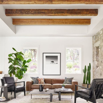 Living Room Looks
