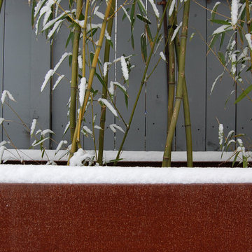 Northwest DC Contemporary garden
