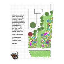 Monarch Garden