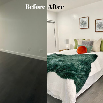 Modern Decor