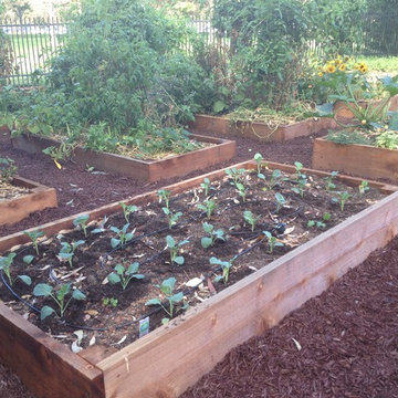 ebay, inc. Corporate Vegetable Garden Installation & Employee Garden Education