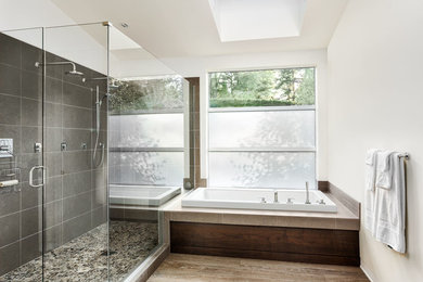 Bathroom - modern bathroom idea in Other
