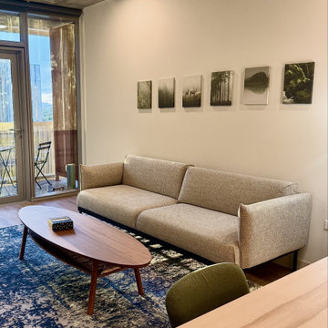 A Design Blitz Miracle — Sol Modern, Phoenix, Arizona.