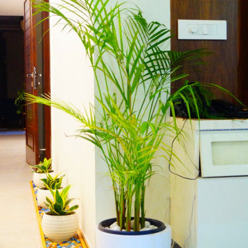 Green Biophilic Interior Design