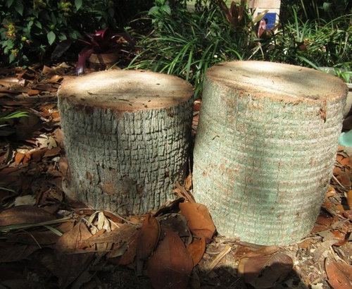 Engaging decorative tree stumps for sale Palm Tree Stumps Logs