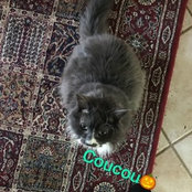 Antoine Vignette's photo
