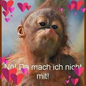 Marion Schades foto