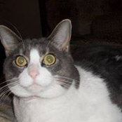 Cindy Mayer Smith's photo