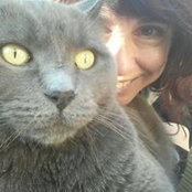 Jamie Horwitch's photo