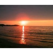 Naomi Plumlee's photo