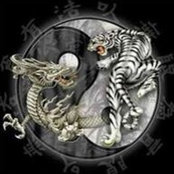 Ryan Zammit's photo