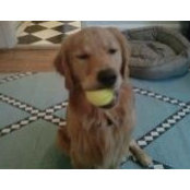 Carey Piraino's photo