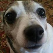 Laura McClure's photo