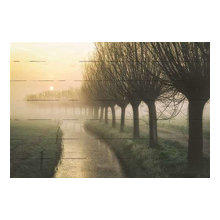 anna_kiepke's ideas