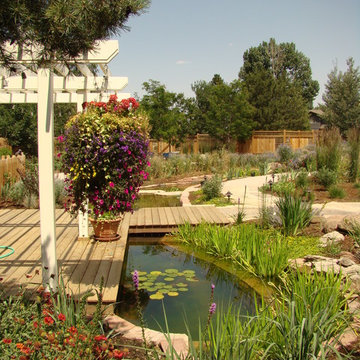 Water Features