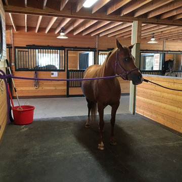 Christel Haven Equestrian Center-Horse Barn