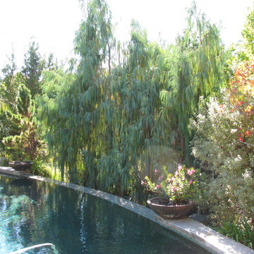 Schulz Residence