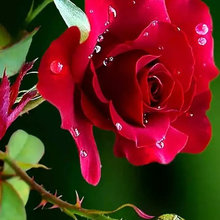 muskanrajput_net's ideas