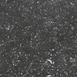 Coralstone Black - Wall & Floor Tiles
