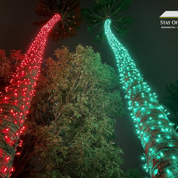 Christmas Light Installation by Stay Off The Roof!