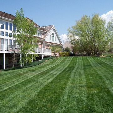 Our Past Work