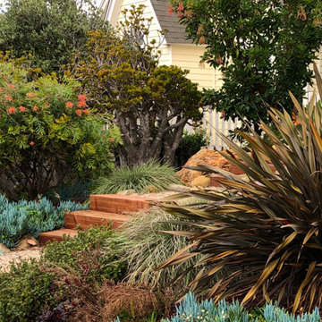 May Front Yard