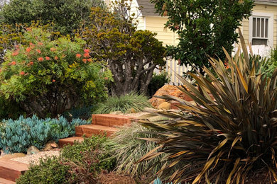 This is an example of a traditional front yard xeriscape with a garden path.