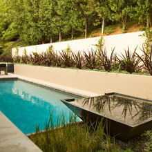 Patio landscaping